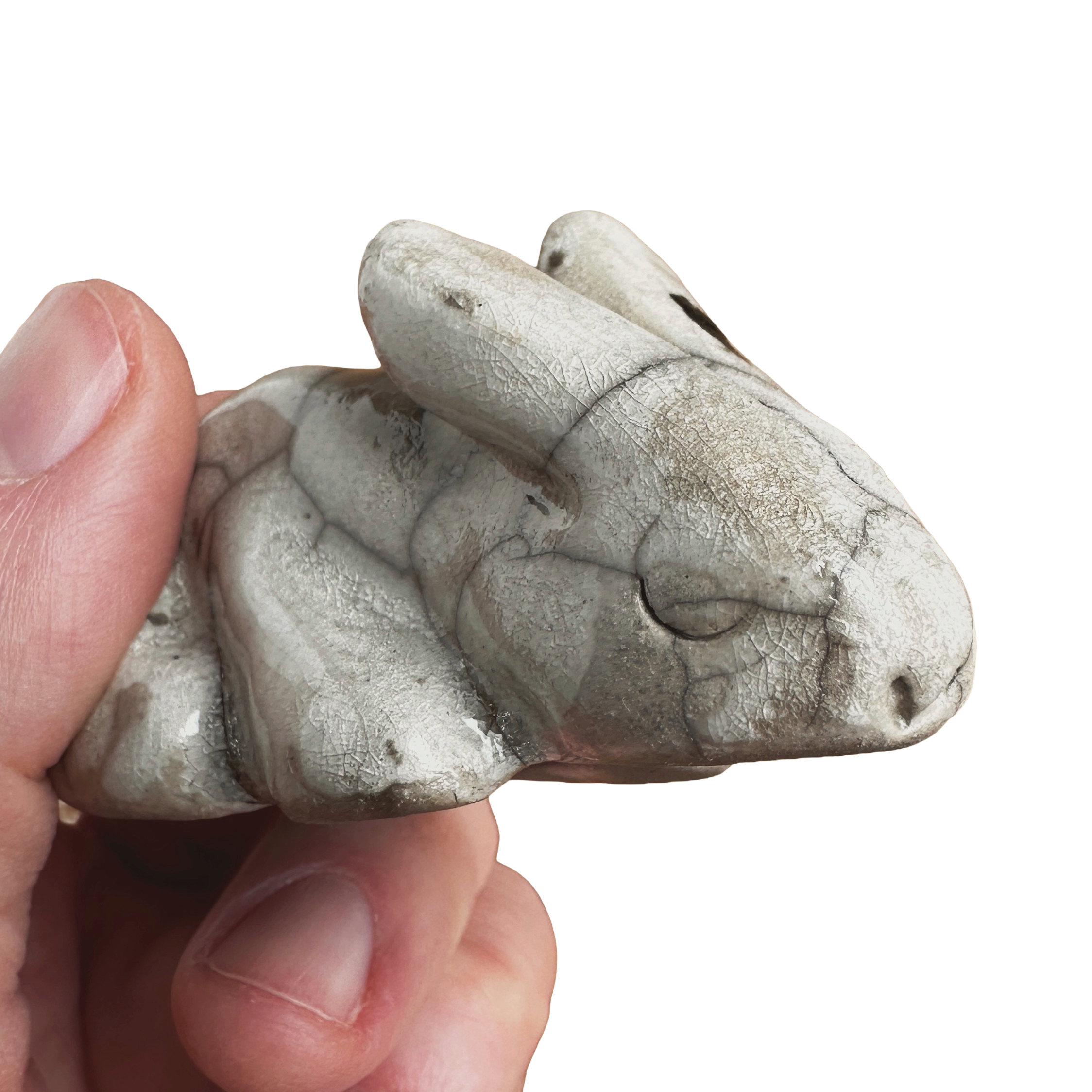 IMG_4244 (kopia).PNG