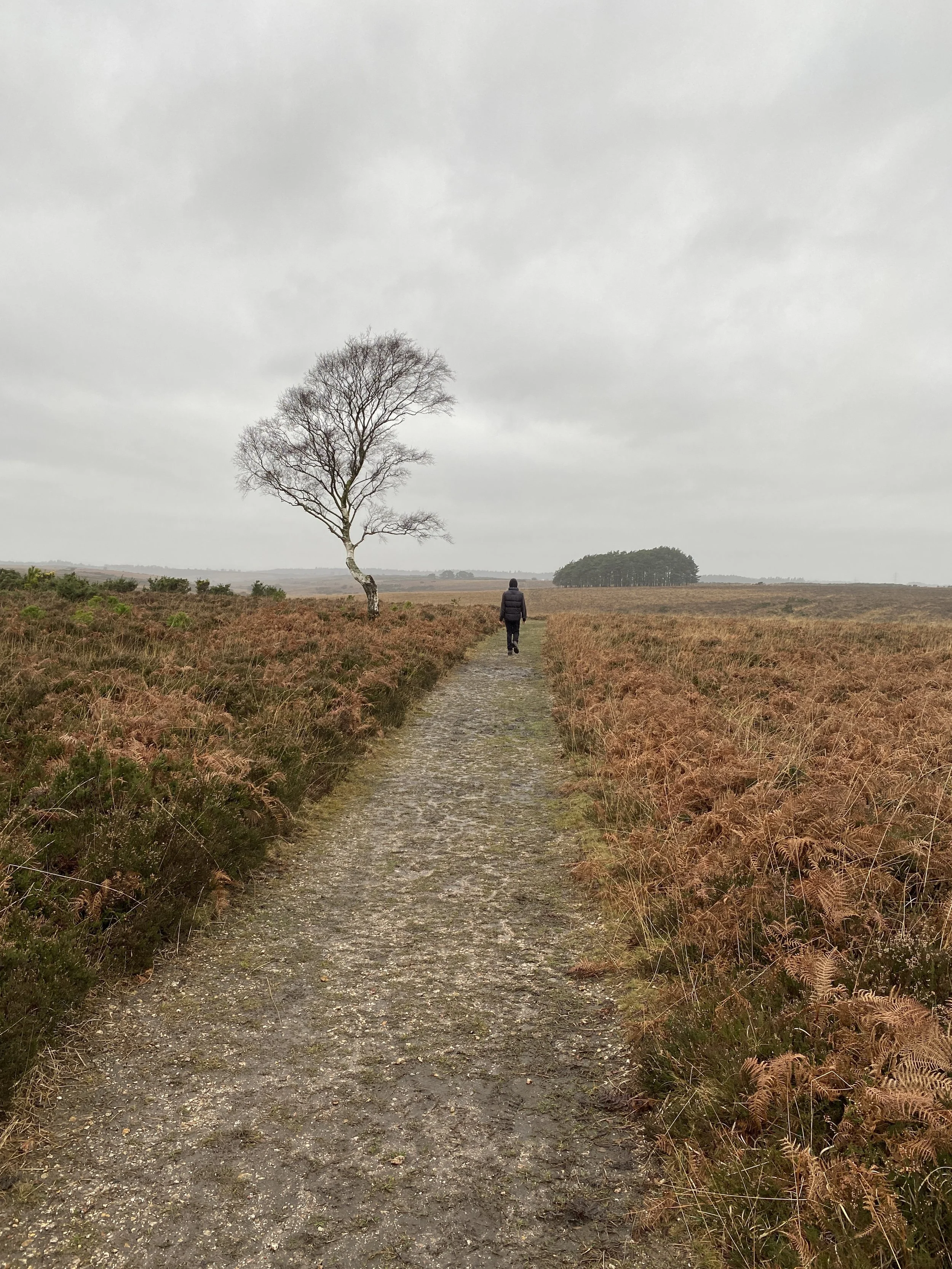 Choosing one image from the day