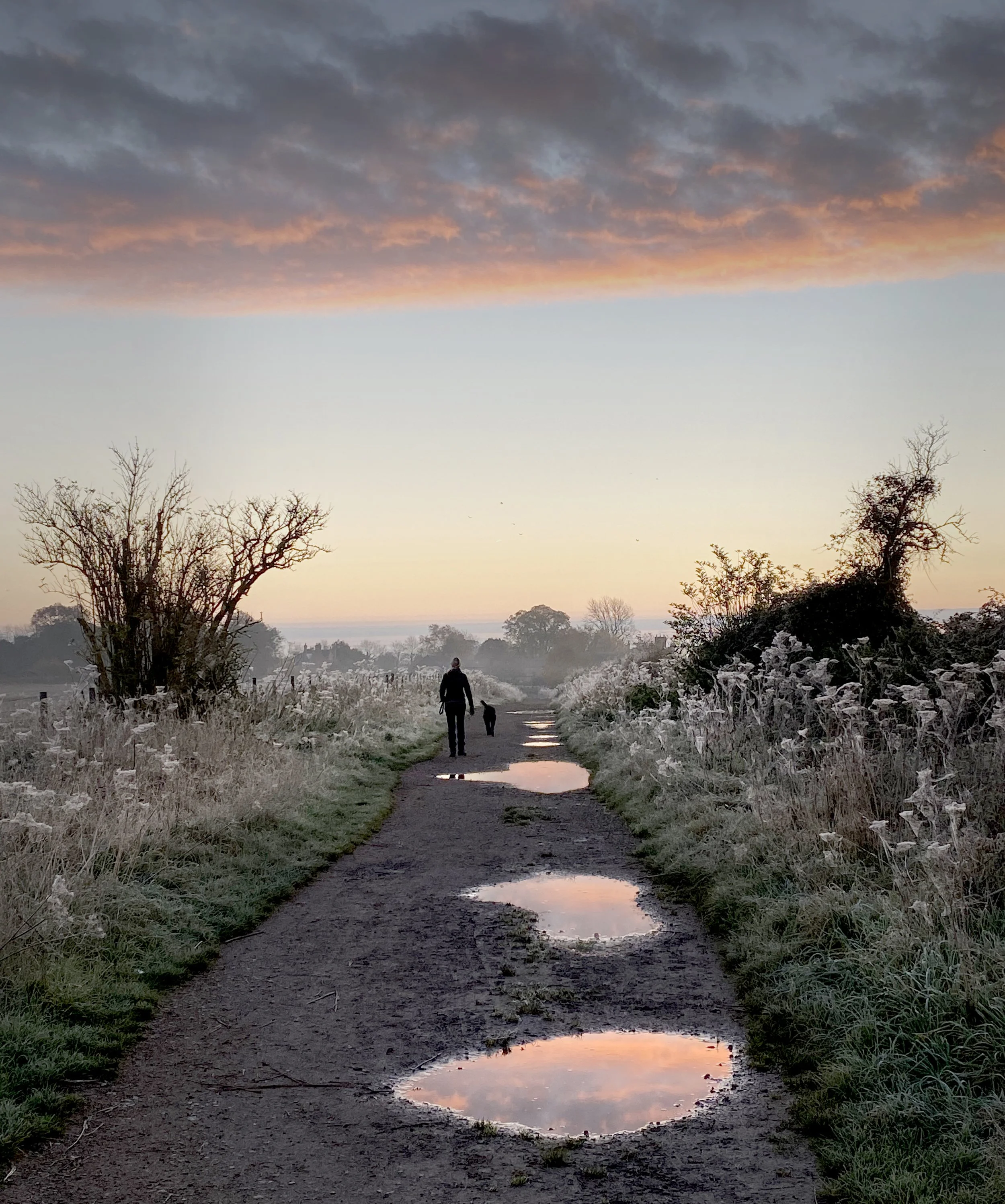 Getting the most out of an image