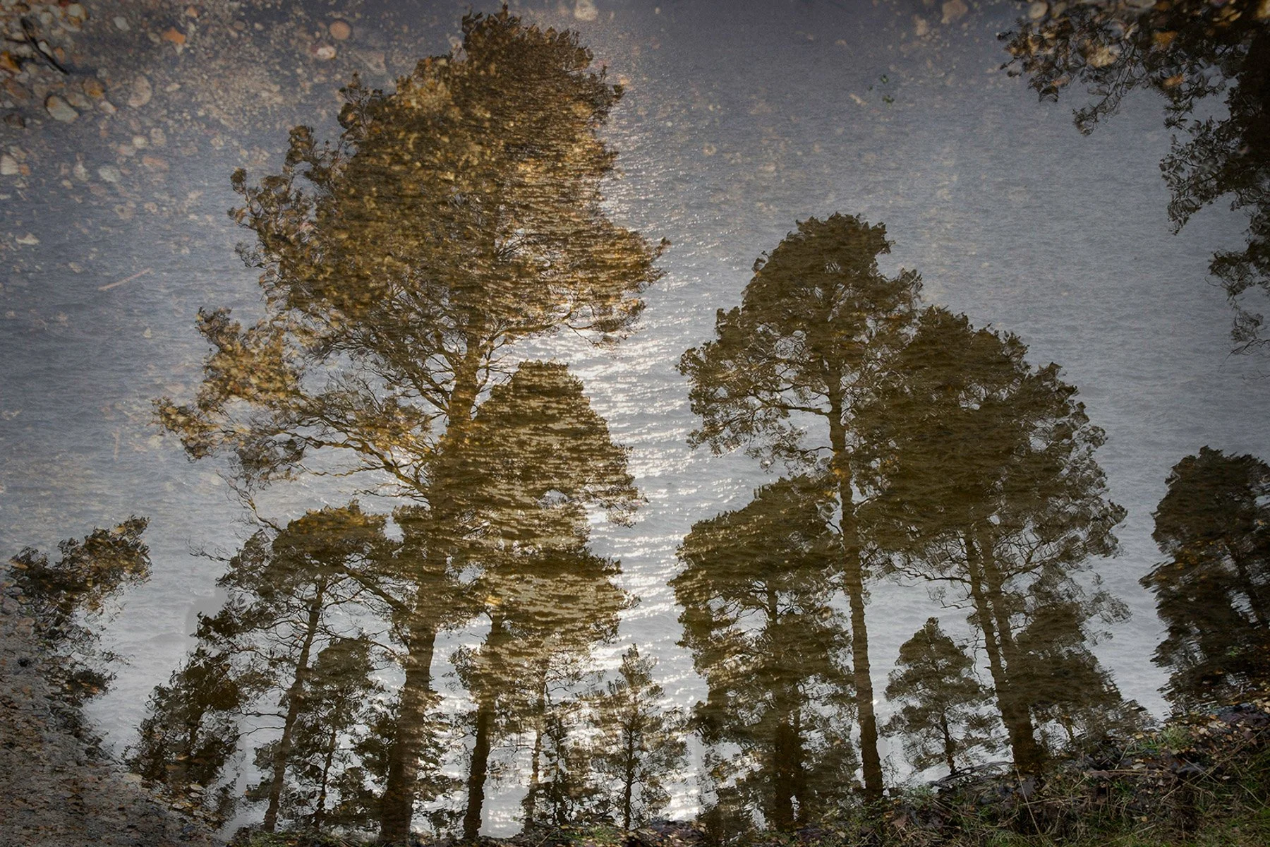 I Cant find anything to photograph