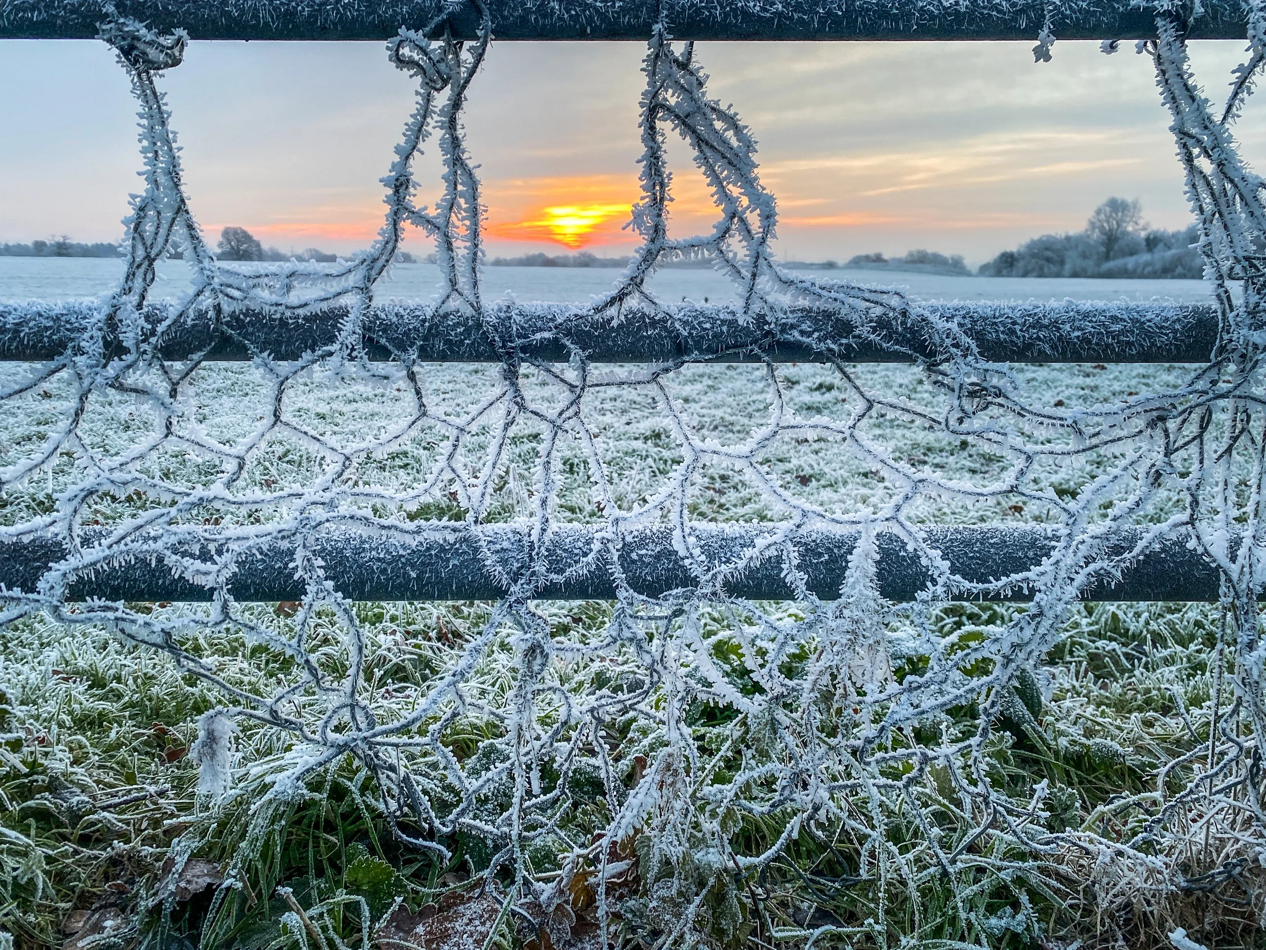 The Sunrise from my angle