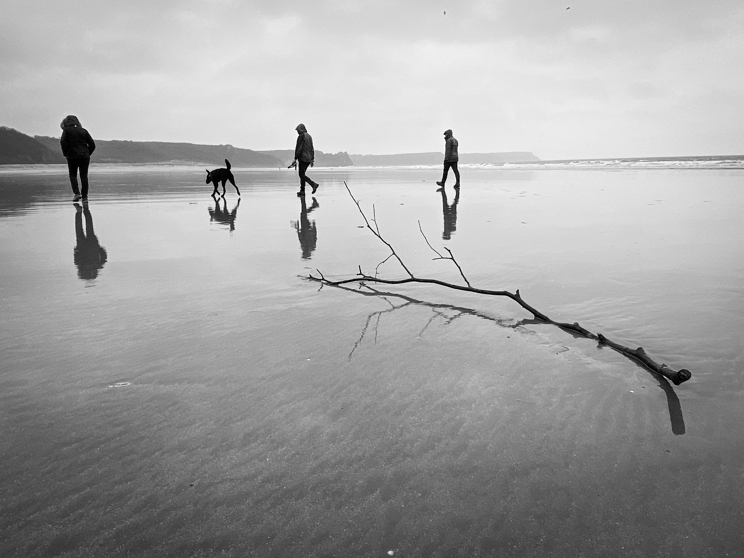 Was this a simple stick or an opportunity? 