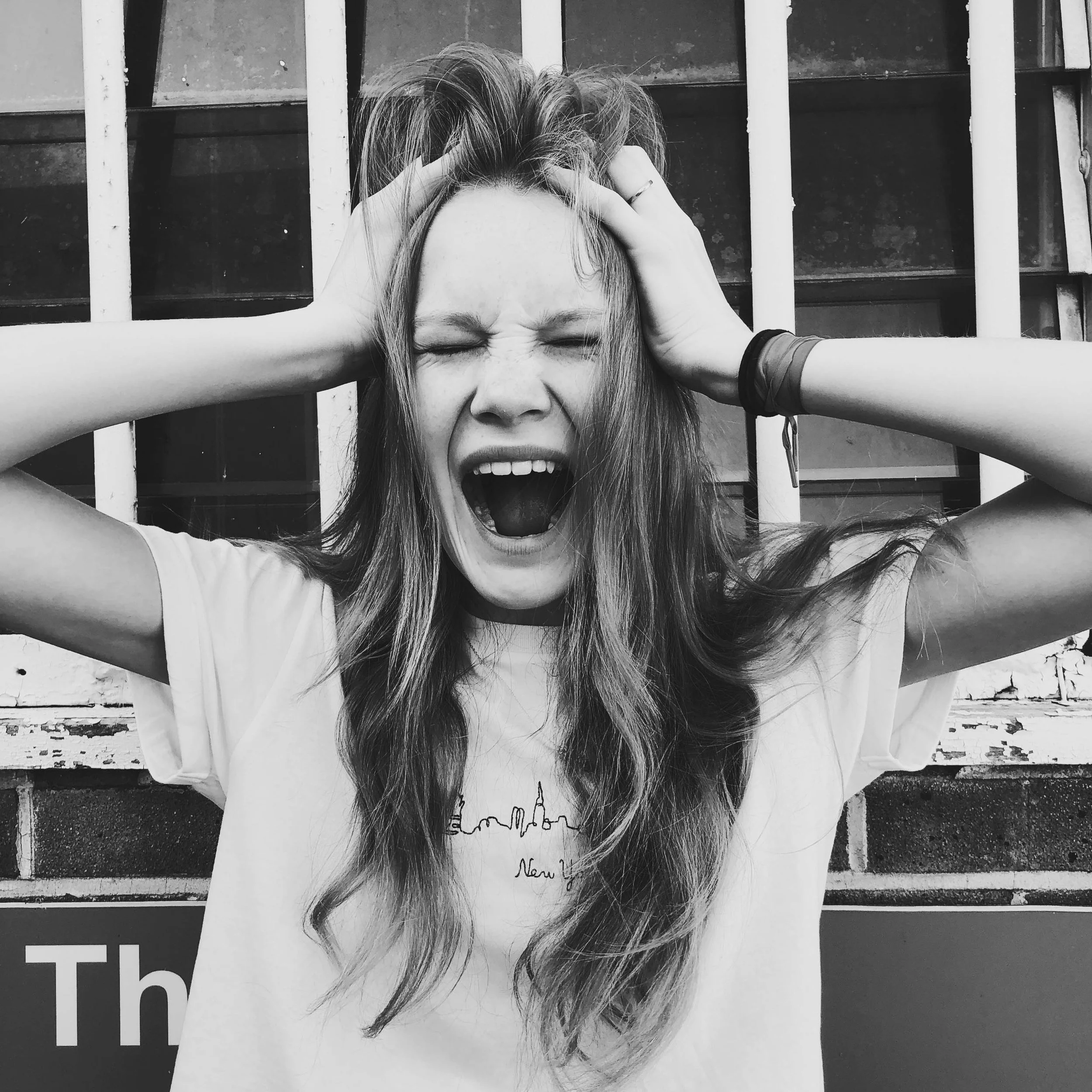 A Picture Paints a Thousand Words