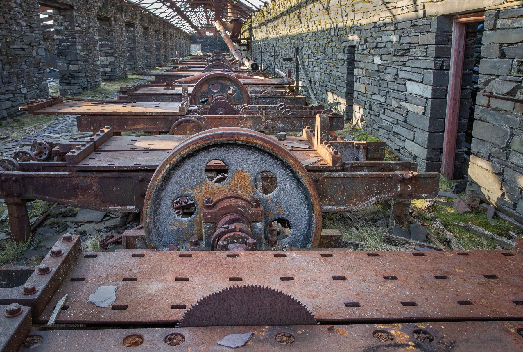 DMML0906-2.jpg
