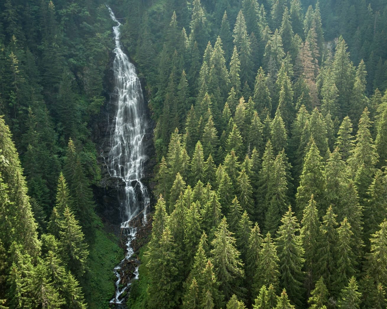 landscape-waterfall-and-forest_d5e90681-7251-433f-a4b9-1c89fe4e8764_2000x.jpg