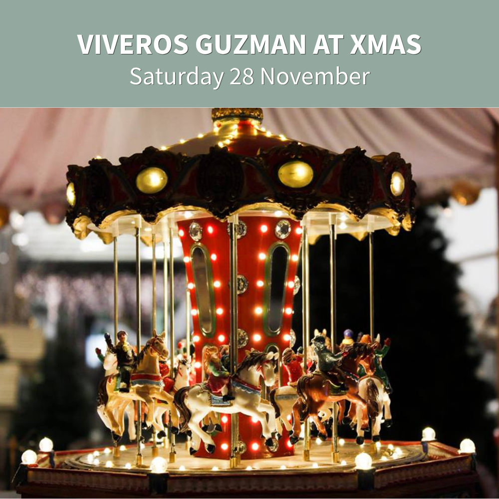 Christmas at Viveros Guzman