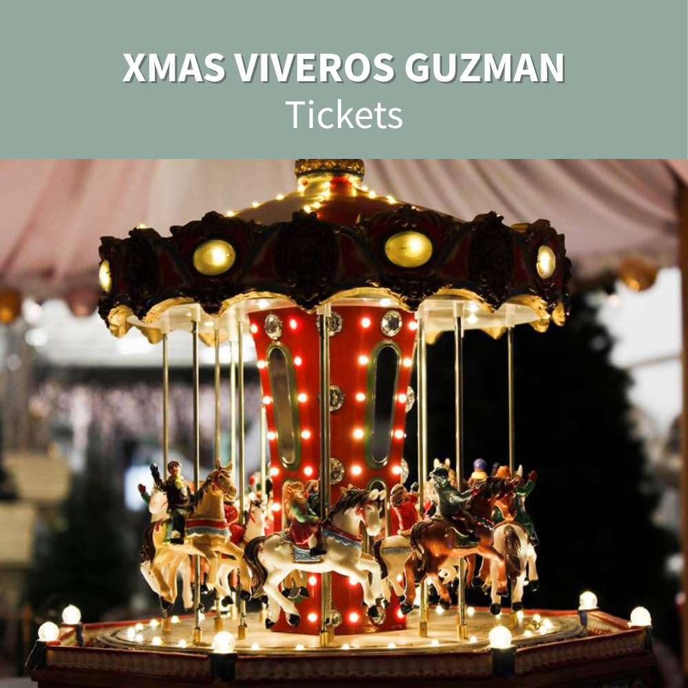 Thumbnail Xmas Viveros Guzman.png