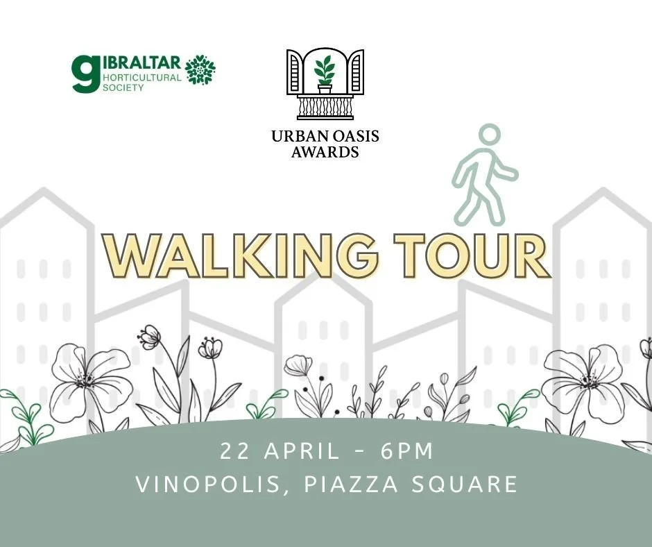 UOA Walking Tour (Facebook Post).jpg
