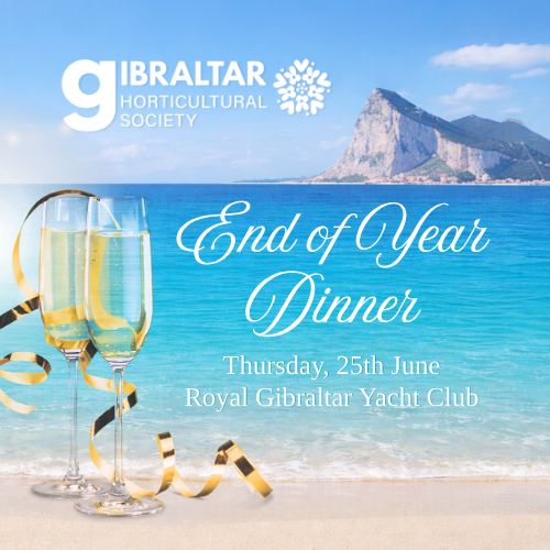 Copy of End of Year Dinner.png