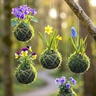 Kokedama 1.jpg