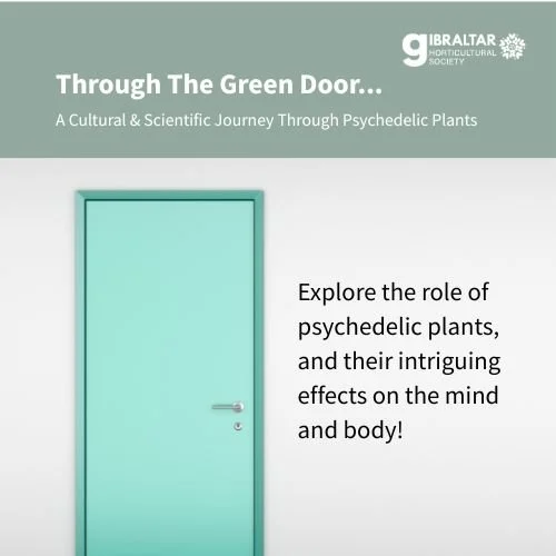 Through The Green Door...