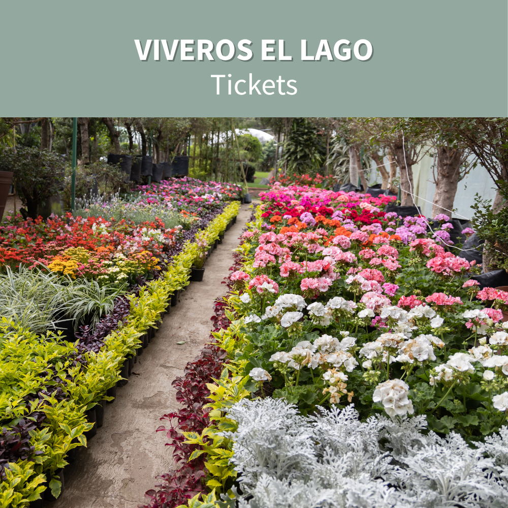 VIVEROS EL LAGO TRIP.png
