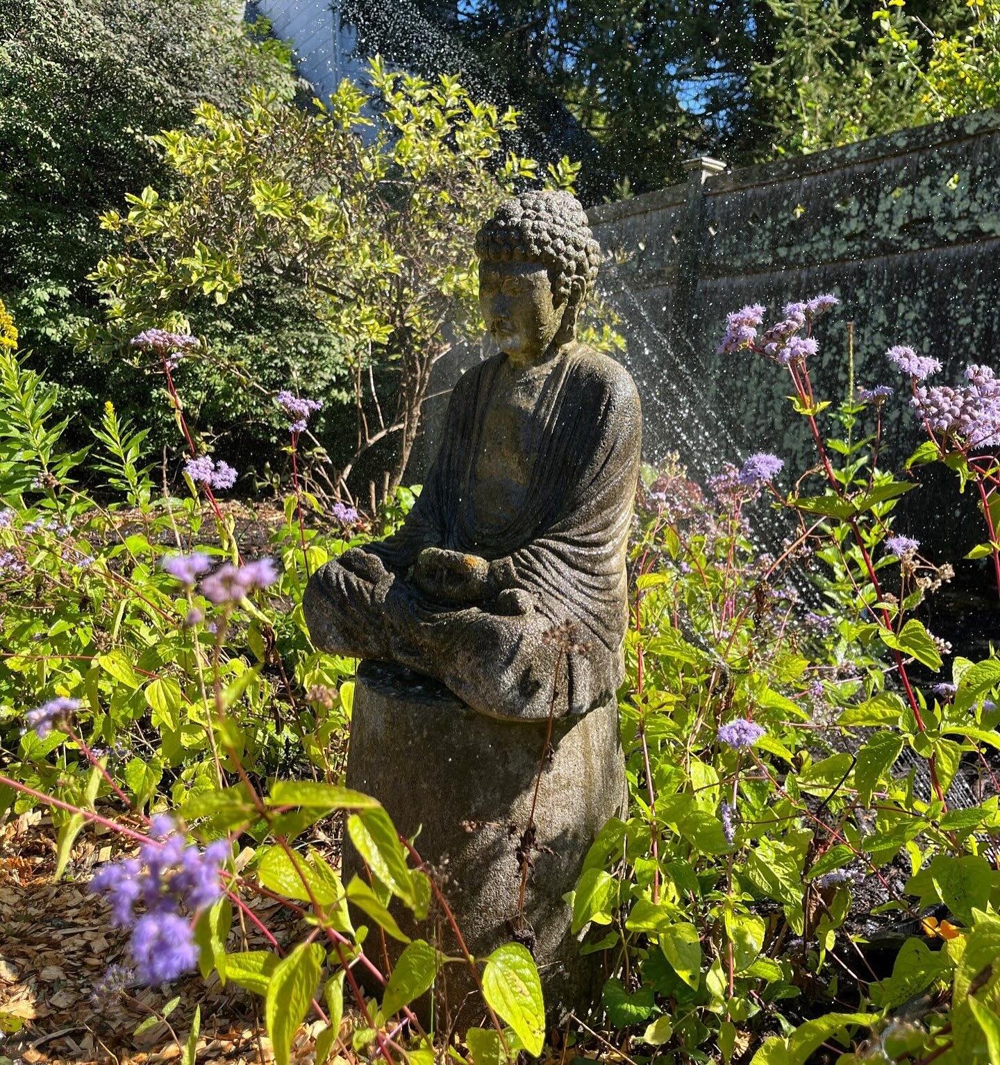 When I first visited this garden the weeds were so high they hid this Buddha statue!  It&rsquo;s been really fun restoring this garden, which was originally planned &amp; planted by a leader of the local garden club.  We uncovered little paths and pl