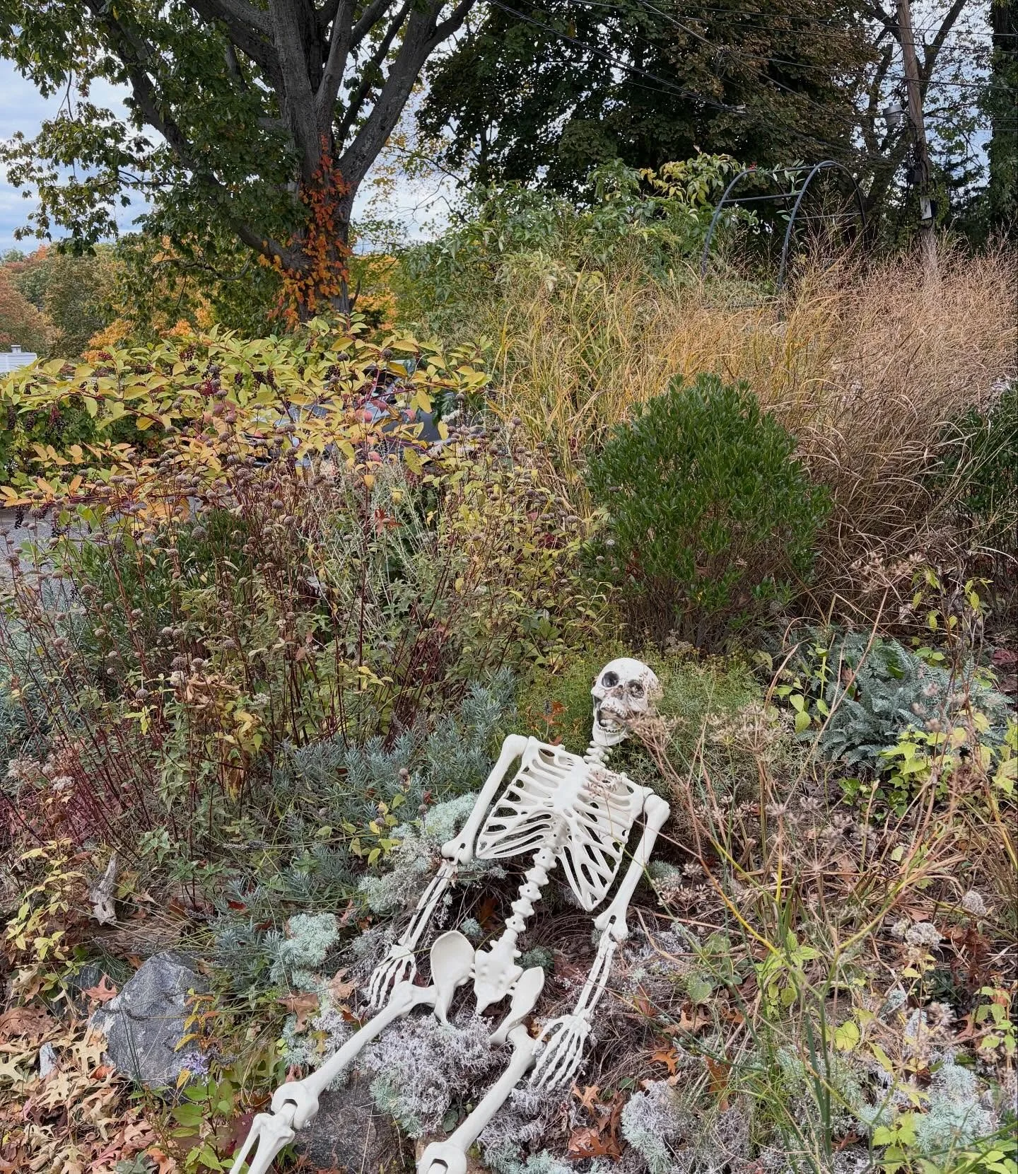 POV: trying to garden during Halloween season on Sleepy Hollow.