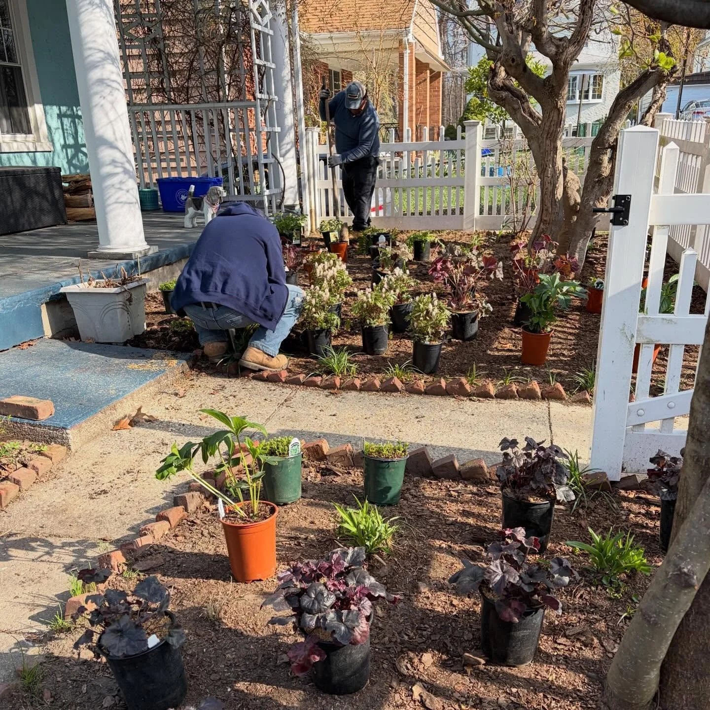 Despite this very weird heatwave, we are still in the early-spring, cool-weather planting season.  The crew is hard at work prepping for spring &amp; summer gardens and starting on planting projects.  Here&rsquo;s a little after-and-before from a rec