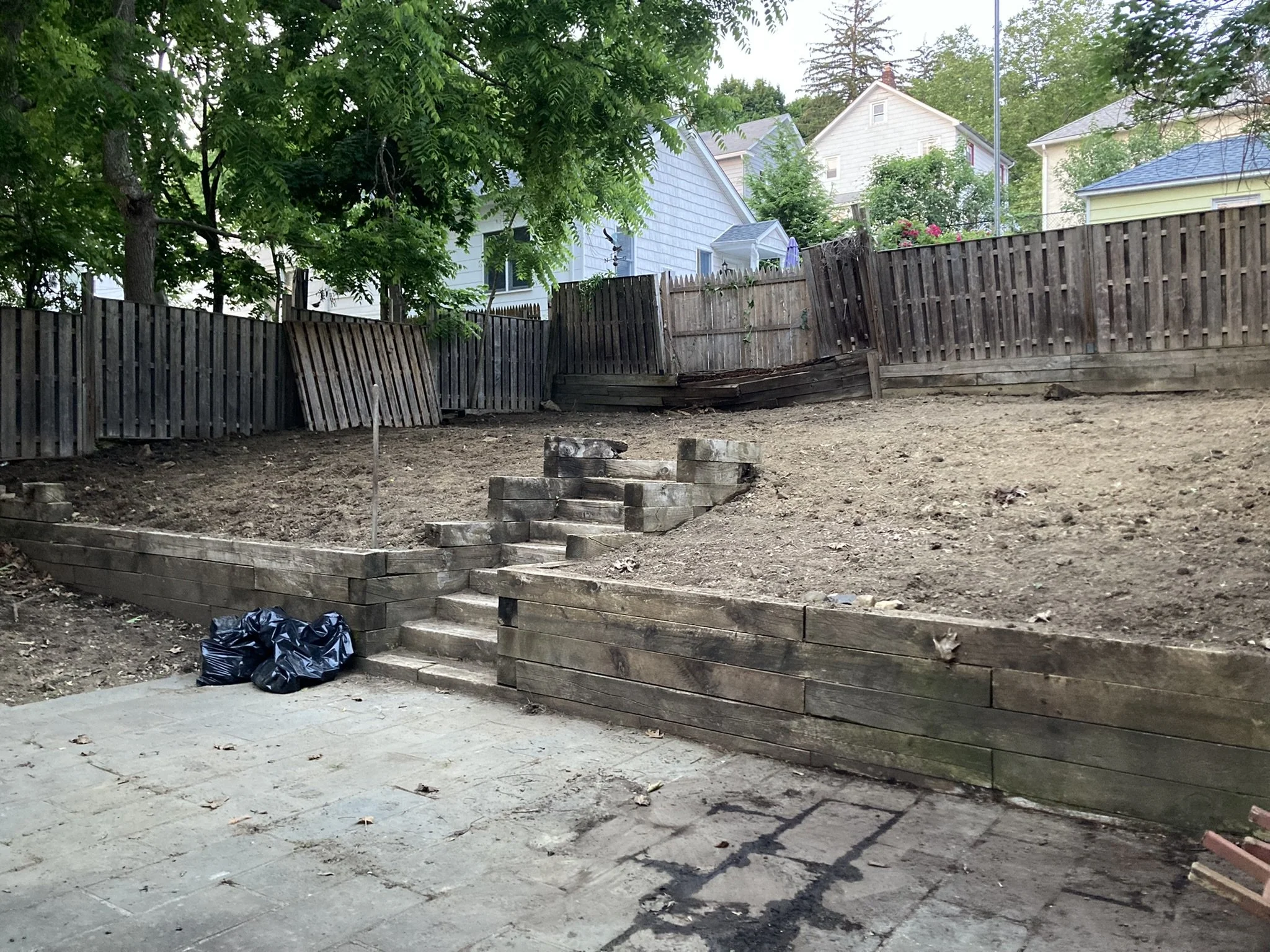 Round 1: invasive porcelain berry vines & roots removed.  Phew! 