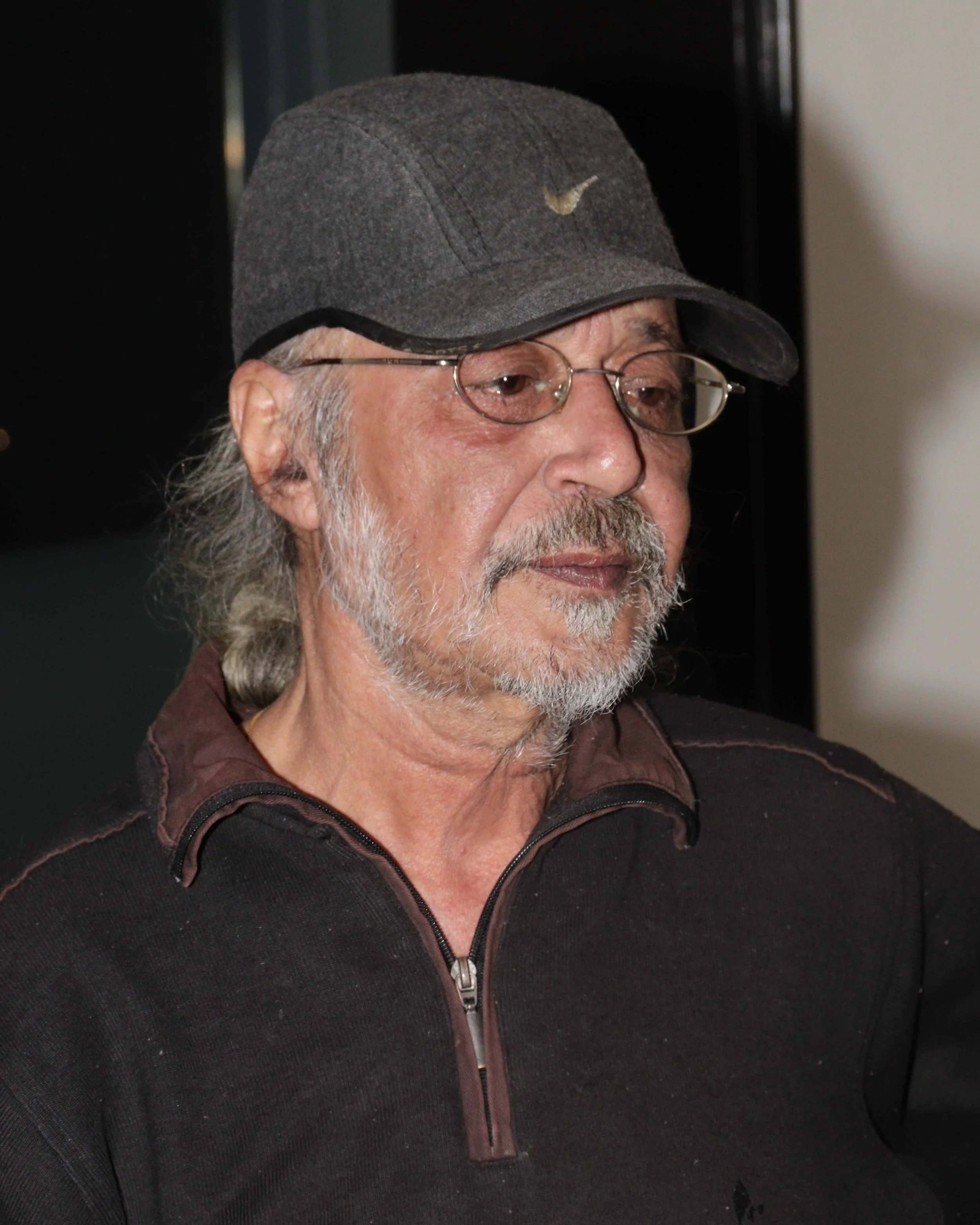 Prithpal S. Ladi Artist Image