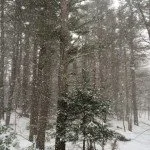 IMG_1941-150x150.jpg
