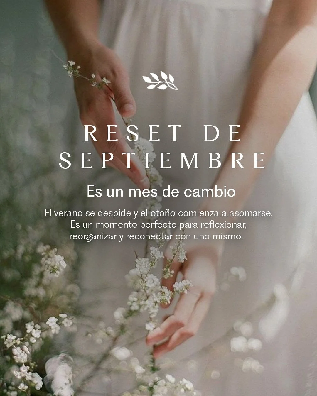 🤍 Este mes, te invitamos a:​
​
✨ Crear rituales diarios que te conecten con tu esencia.​
​
✨ Redefinir tu espacio con aromas que inspiren calma y claridad.​
​
✨ Incorporar pausas conscientes que te permitan fluir con el ritmo de la temporada.​
​
​
#