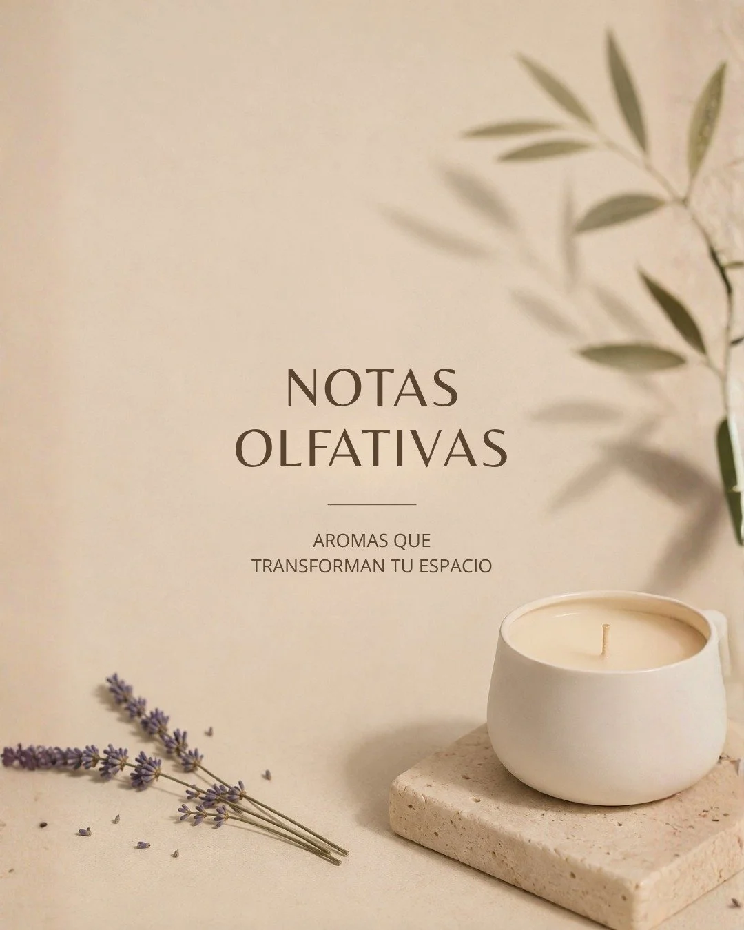 Un aroma tiene m&aacute;s de una historia que contar 🌿

Desde sus primeras notas hasta aquellas que permanecen en el ambiente, cada combinaci&oacute;n crea una personalidad diferente.

Descubre las notas olfativas detr&aacute;s de tus aromas favorit