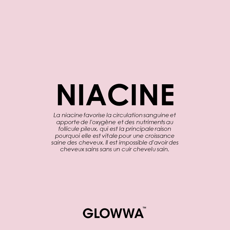 44-Glowwa post FR.png