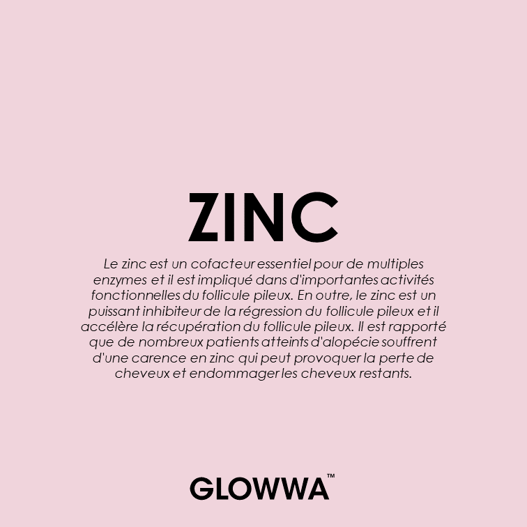 46-Glowwa post FR.png