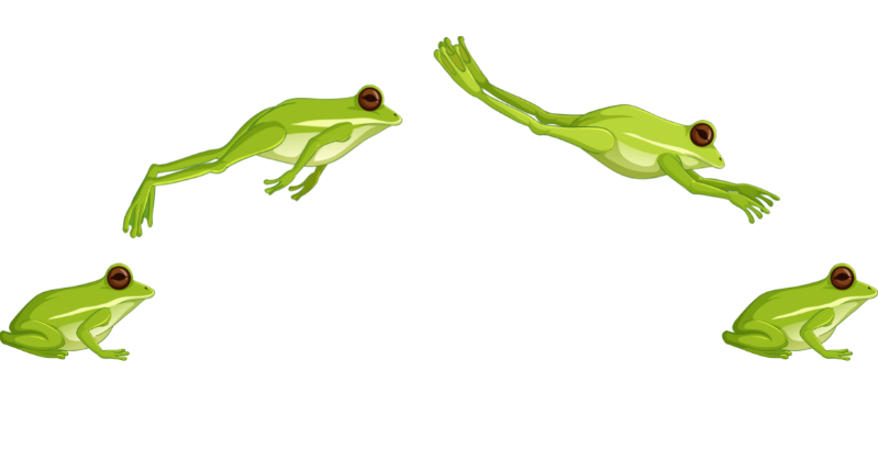 Sustainable and affordable events | Frog Events