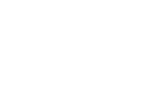 Anh Nguyen Curator, Art Management, München