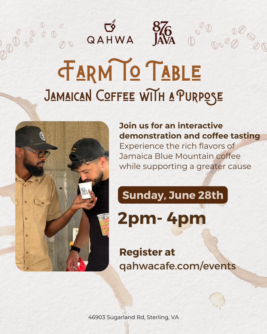 Farm to Cup: Jamaican Coffee with a Purpose