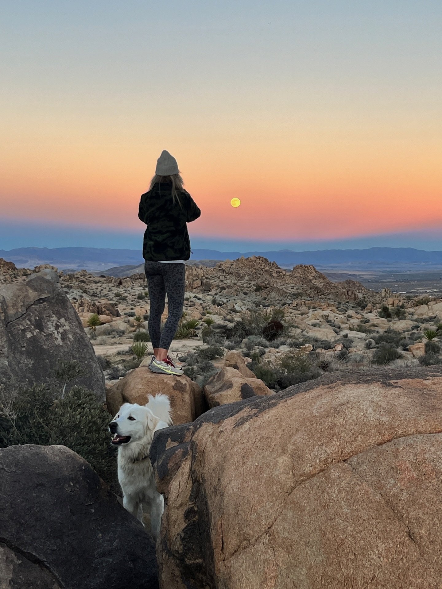 ✨ 2025 RECAP 💛

HIGH -> I&rsquo;m going to go ahead and go peak lover girl but with super DL soft launch energy&hellip;I met someone incredible that is blowing my heart and mind on all the levels. A miracle dropped in my lap and there is no great