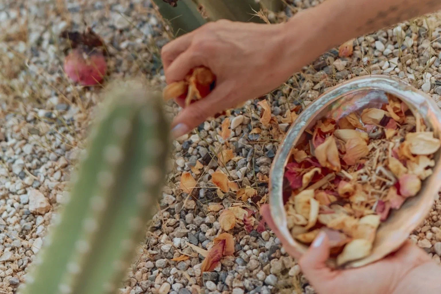 It's A Wrap/9 Year Completion Breathwork