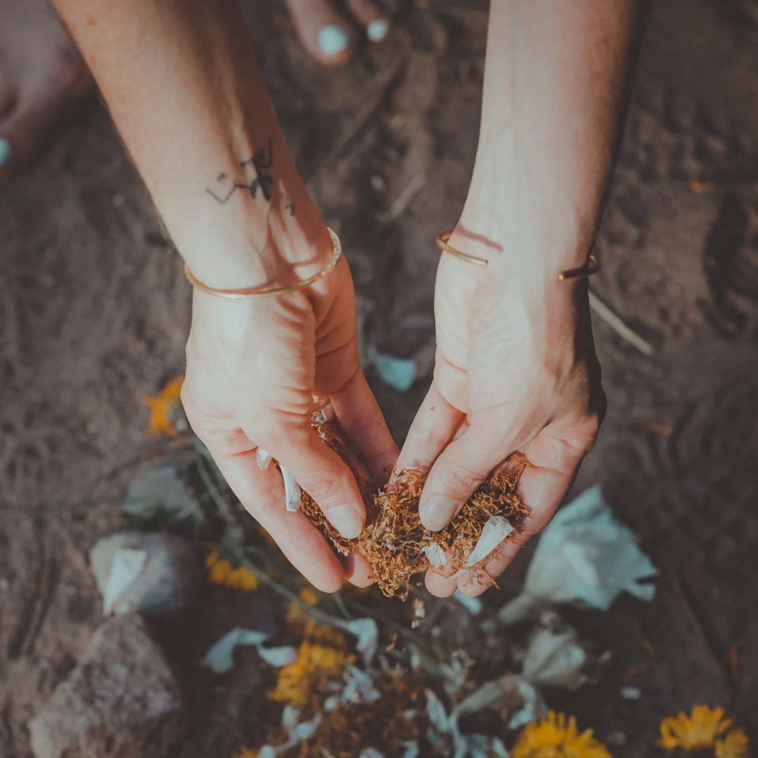 BABY CRONE RENEGADES: a conversation with Centehua Sage & Erin Telford