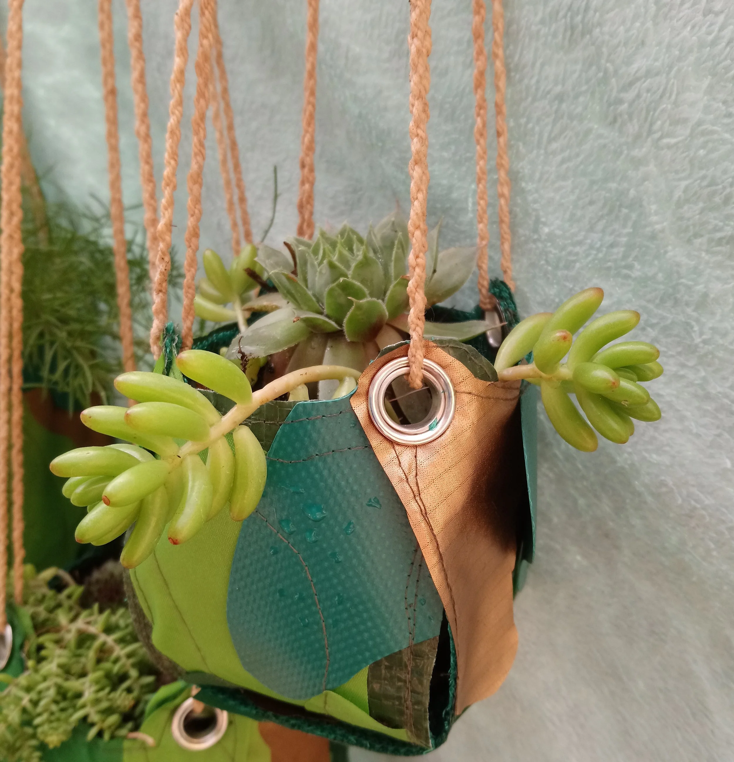 small-hanging-pot.jpg