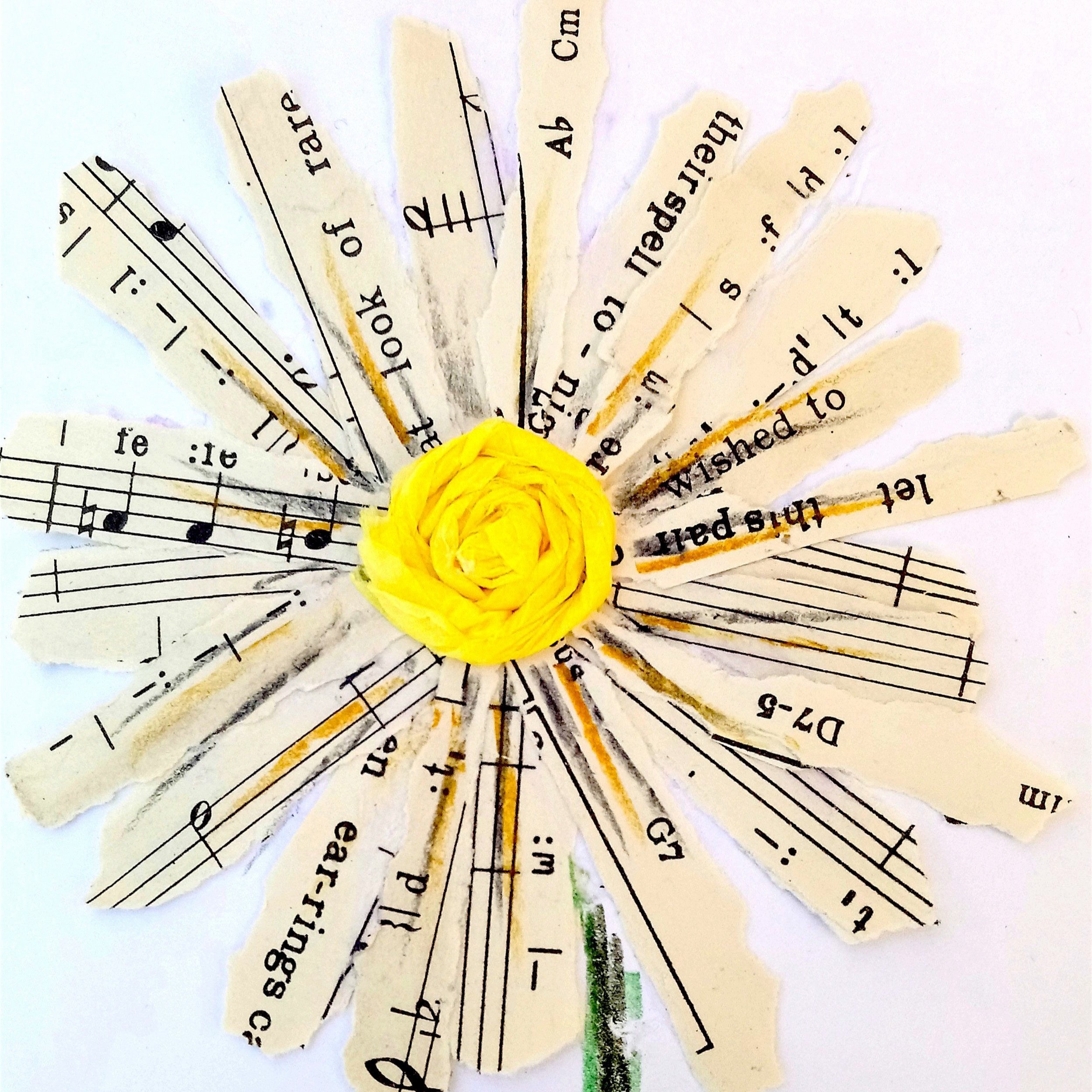 sheet-music-daisy-with-yellow-centre.jpg