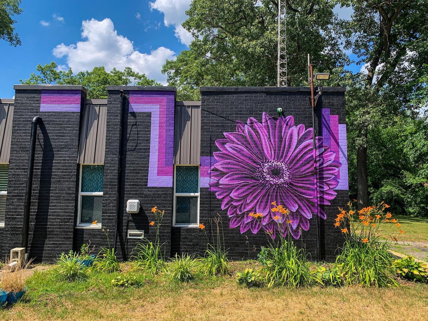 Final photo of this majestic purple daisy for Reflections Counseling. Located in the back of the building, in front of their garden 🪴🍃 

Therapy has definitely helped me, especially in the past year, so I was so happy to help brighten up this build