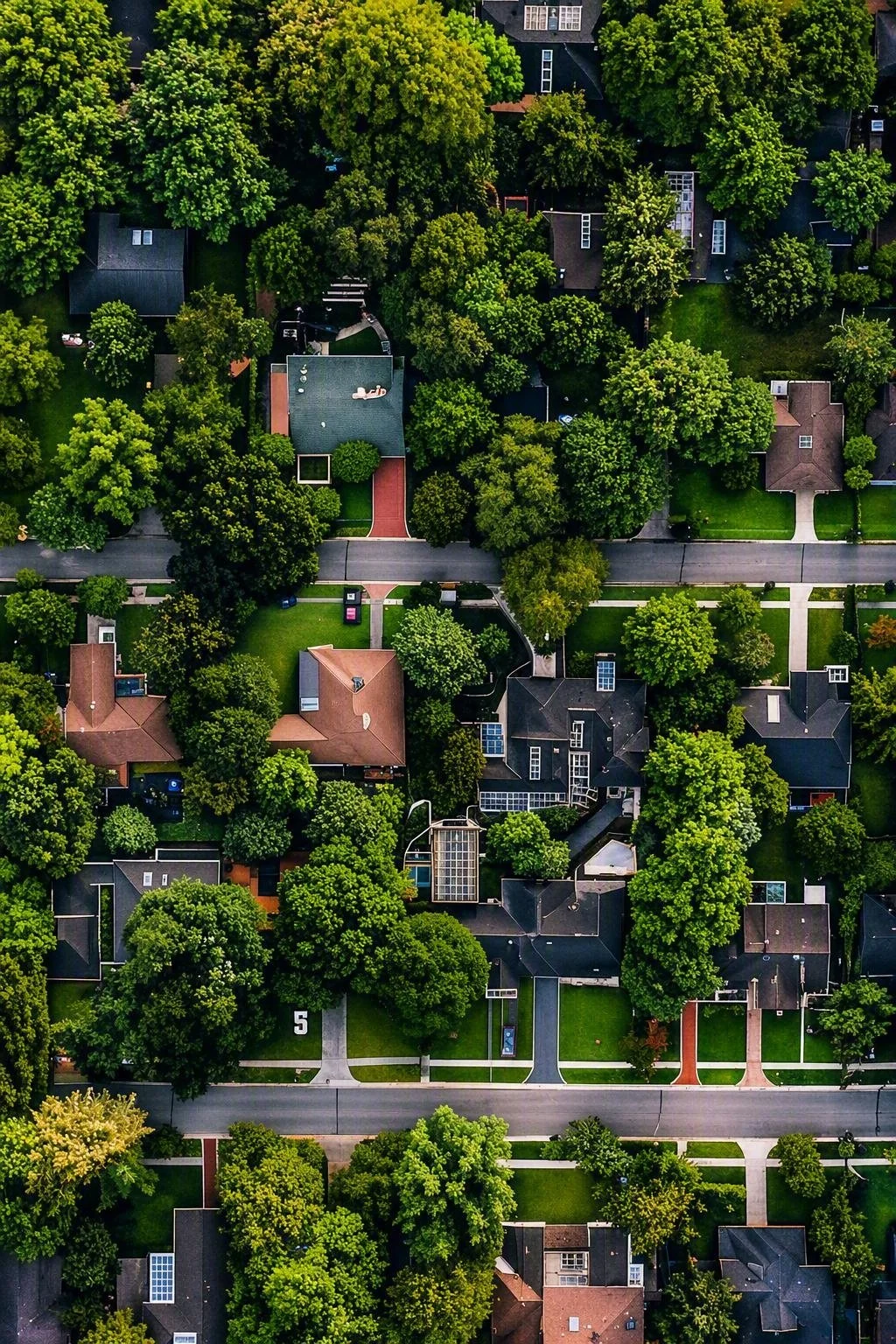 Aerial view of a neighborhood with houses, streets, and trees.