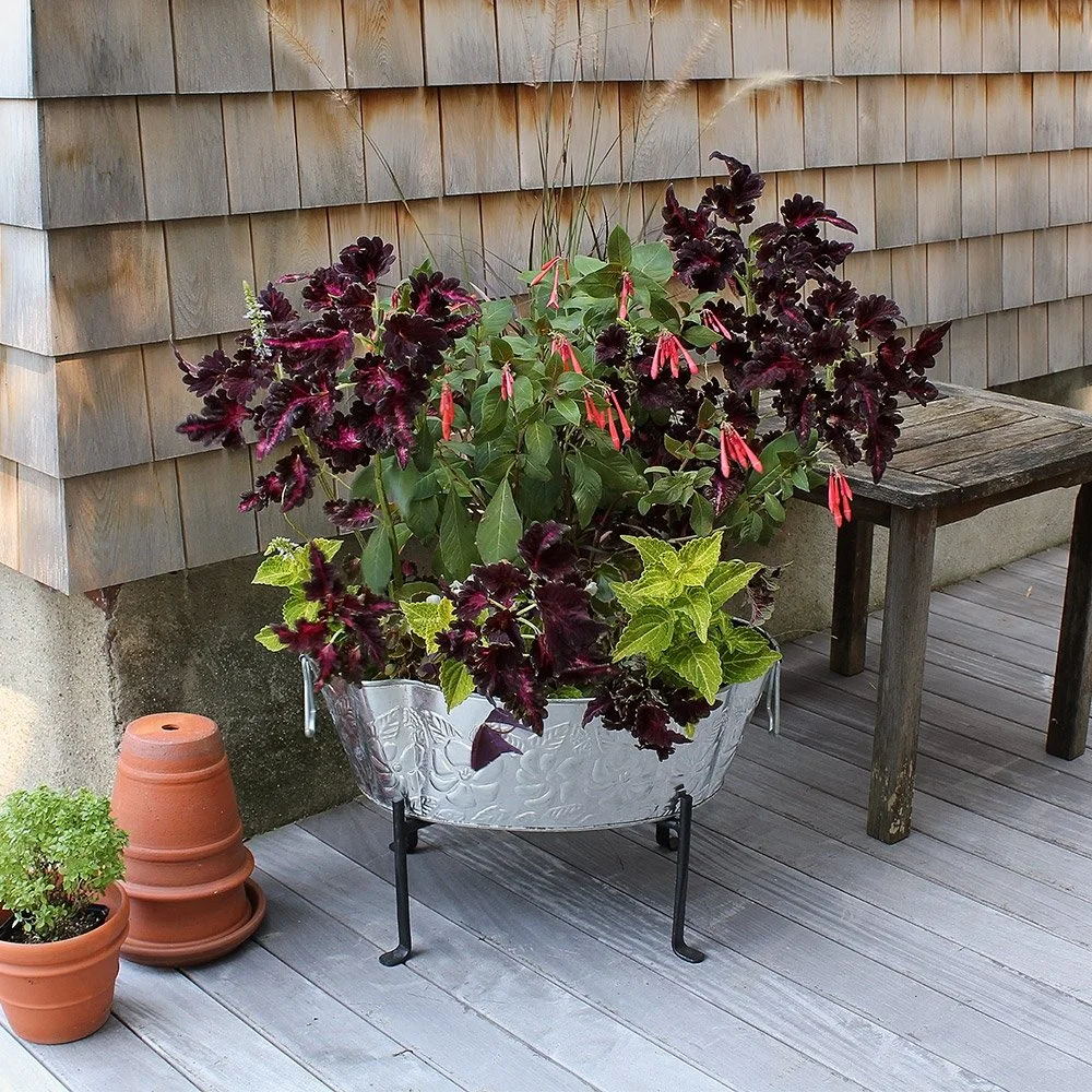 Achla Designs Folding Stands - Thumbnail 3