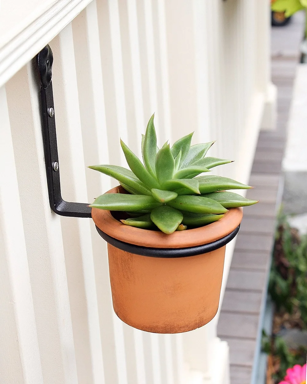 bottle self watering plants Terracotta Self-Watering Plant Spikes