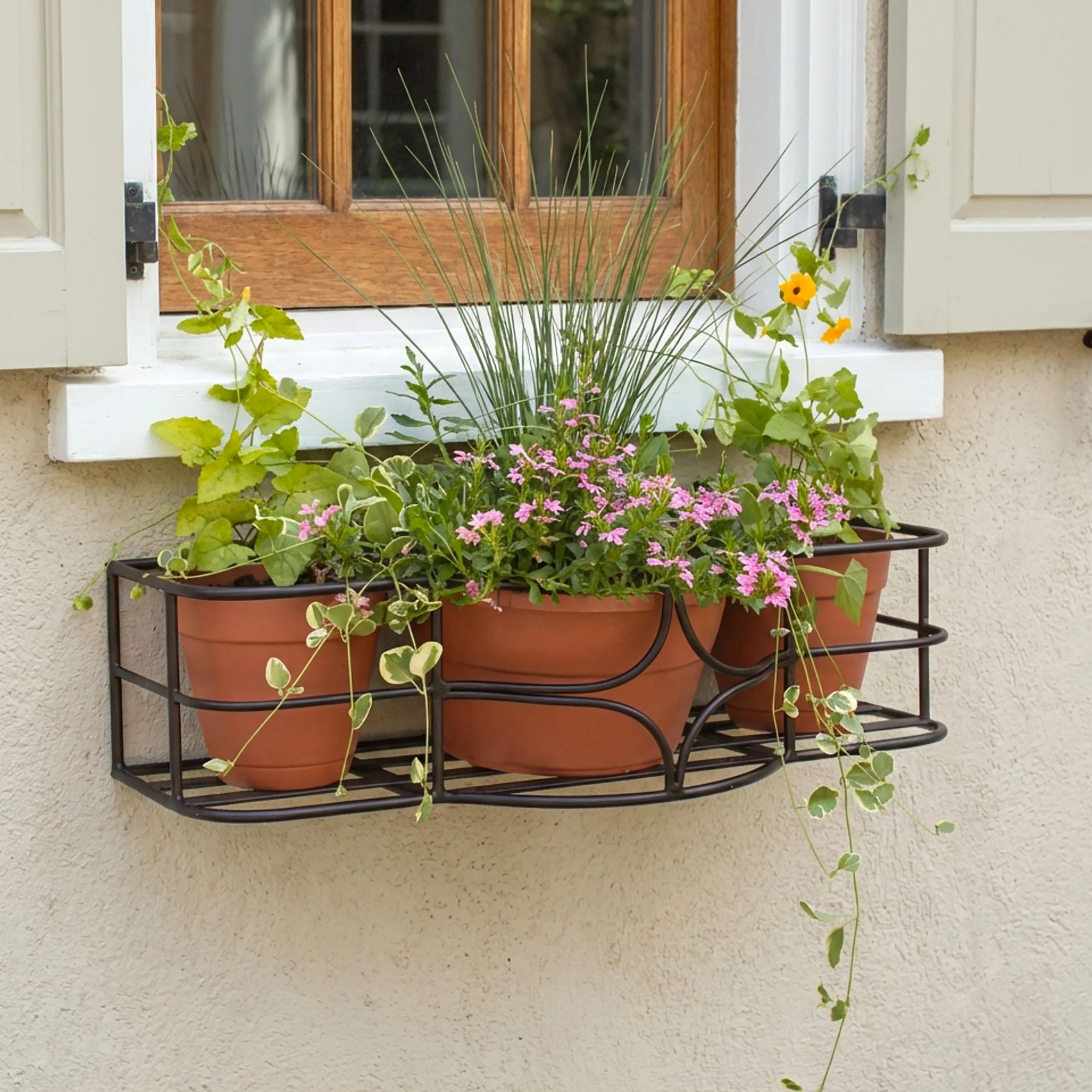 Argyle Window Box