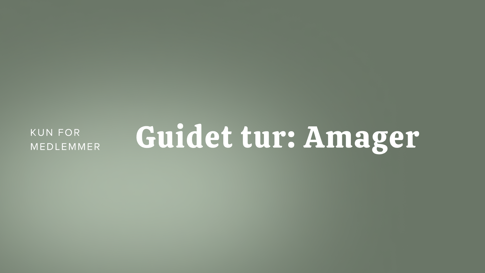 Klubtur: Havørred på Amager pt 2