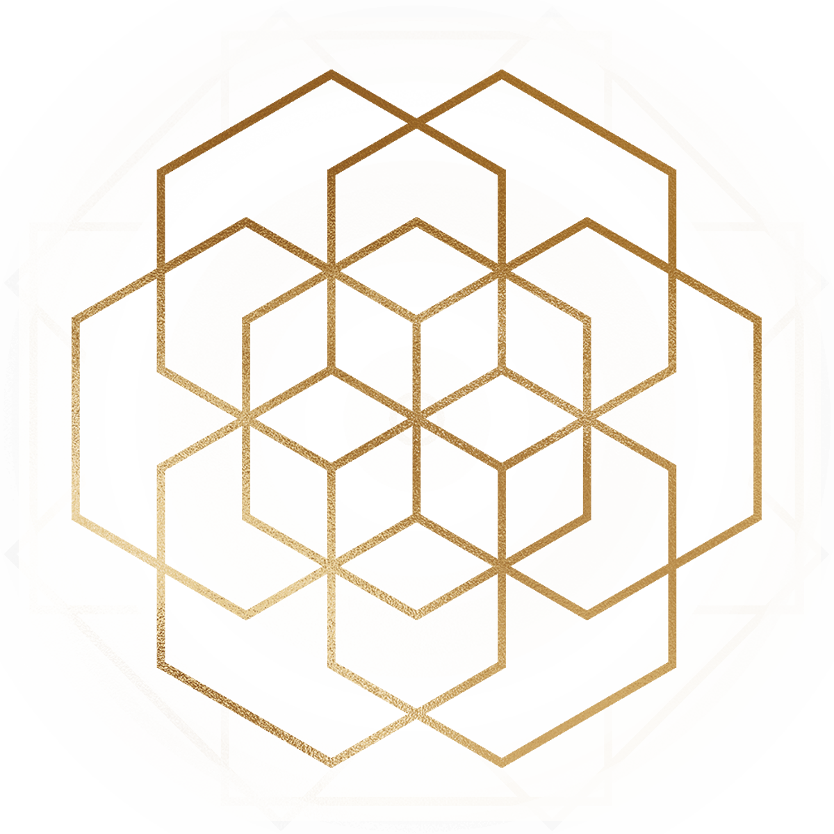 Artboard-16.png
