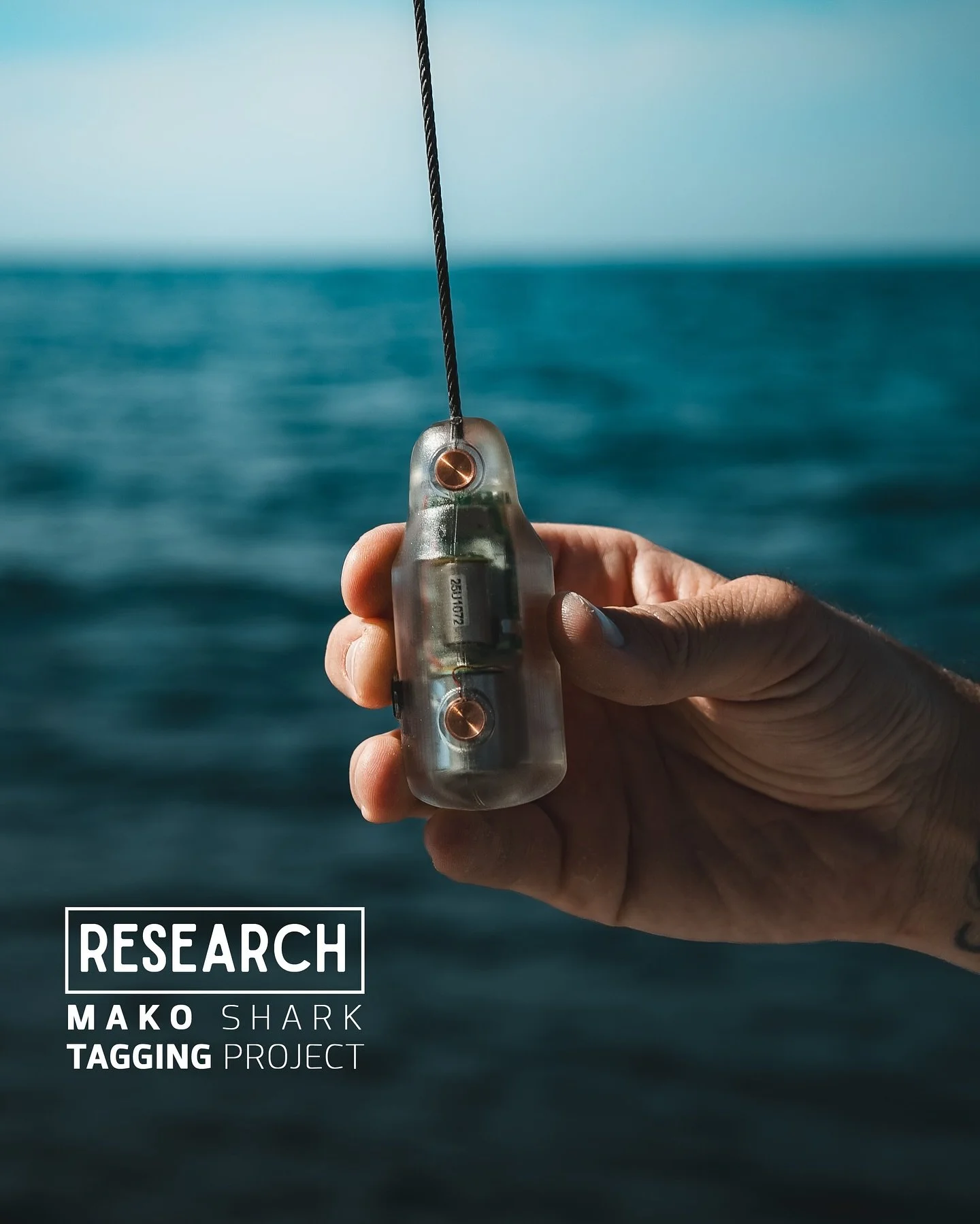&bull; MAKO SHARK TAGGING PROJECT &bull;

Our team is currently back in Baja California Sur, Mexico for our Mako Shark Tagging Project in collaboration with @sharkresearchmexico &amp; @bajasharkexperience !

We&rsquo;ve already tagged 5 Shortfin Mako