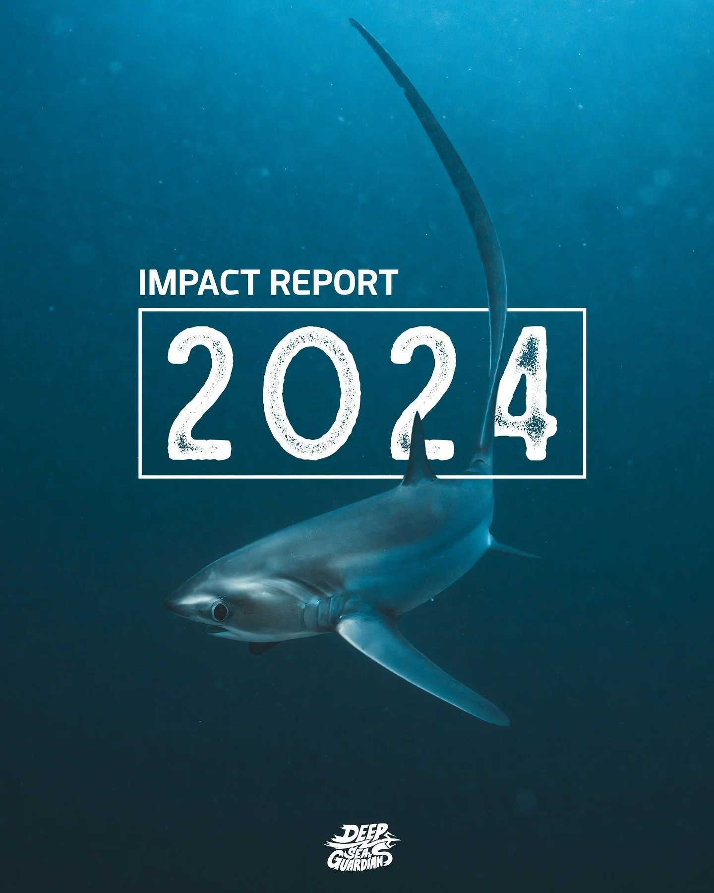 &bull; 2024 IMPACT REPORT &bull;

We just wrapped up another impactful year of shark conservation !

Therefore, we are presenting to you our 2024 Impact Report with some of our biggest projects in numbers:

✔️ We kept moving forward with our Mako Sha
