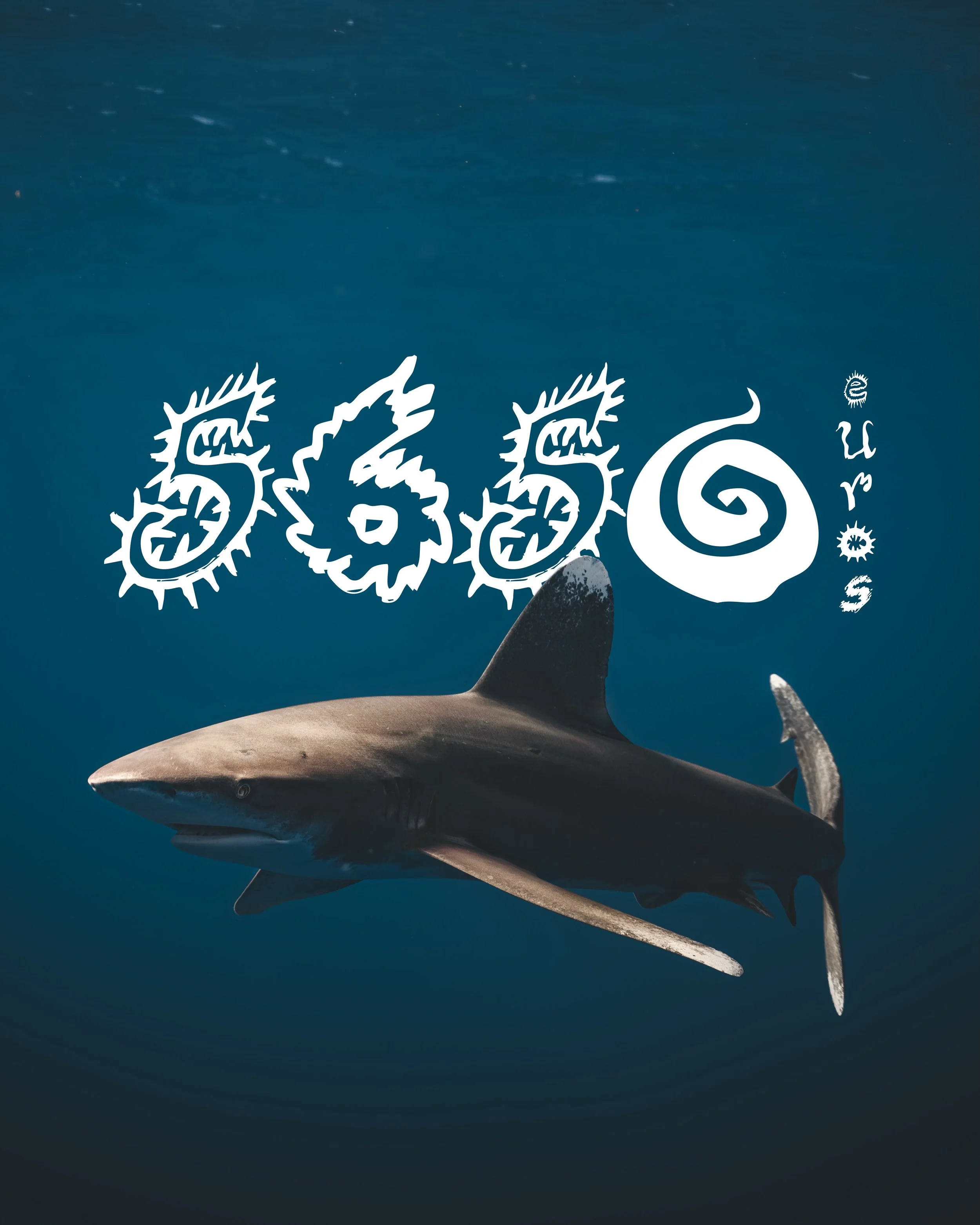 Together, we&rsquo;ve raised 5&rsquo;650eur to support our never ending mission to protect sharks !

A special thank you to @thesoapandthesea for the initiative and a huge thanks to everyone that supported the campaign and bought soaps !

🧼🦈

#deep