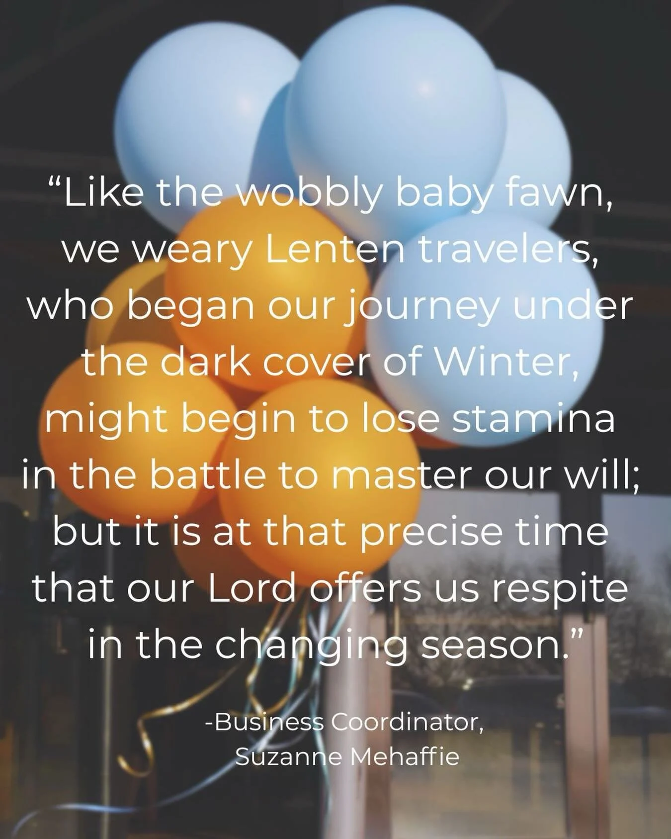 🌸Mrs. Mehaffie, how do you encounter God in the spring?🍃