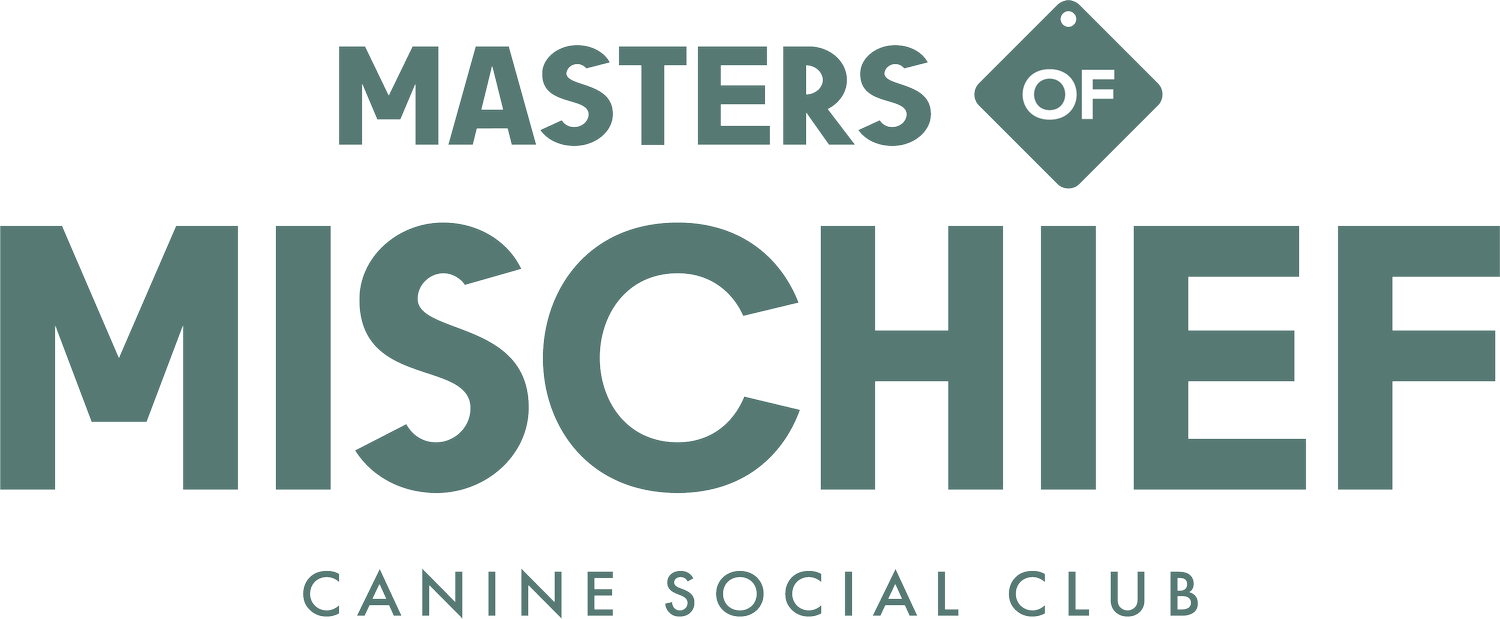 Masters of Mischief Canine Social Club