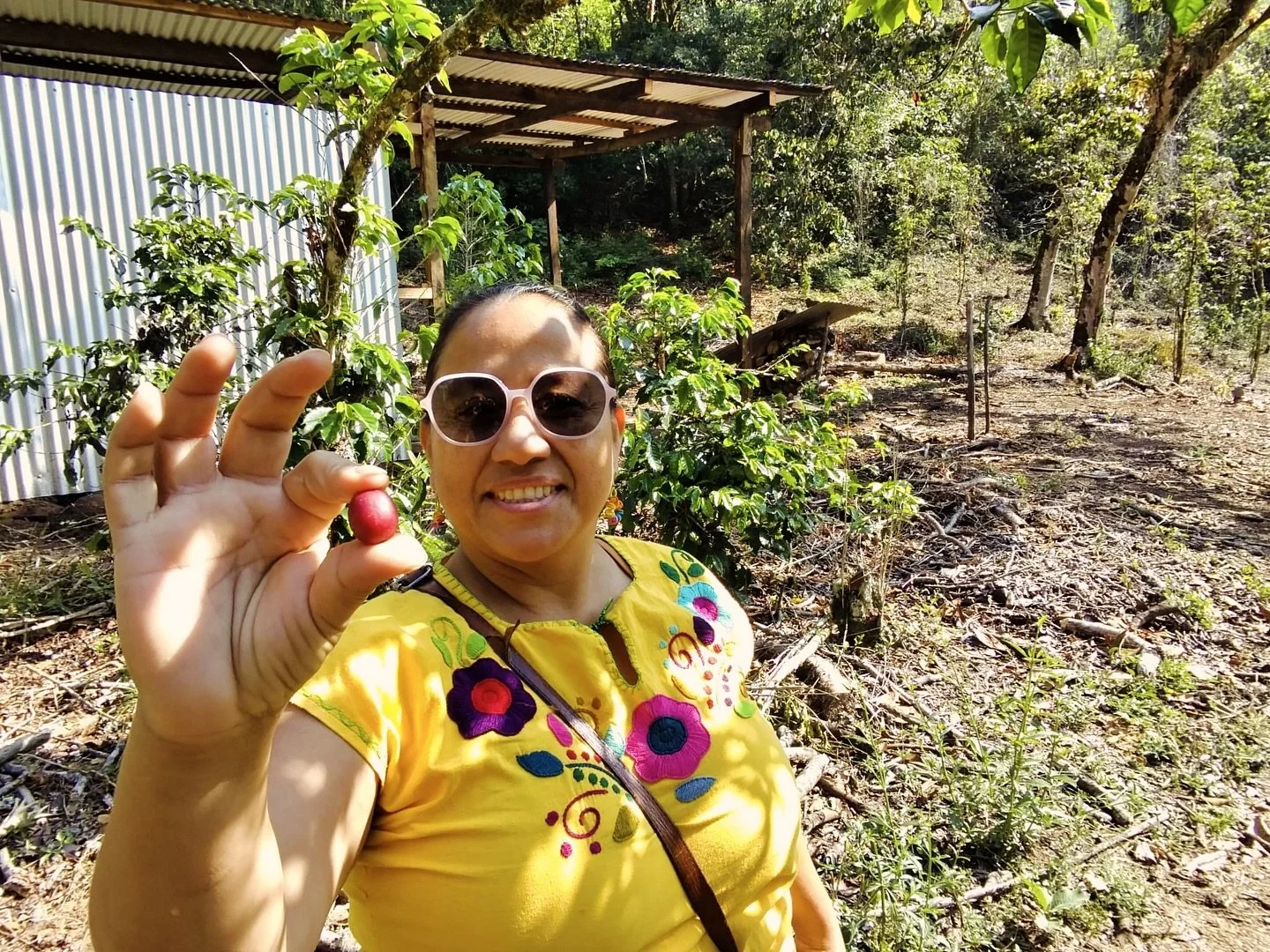 #STORYTIME ☕📖 Meet Rosalba Cifuentes, the powerhouse behind our newest medium-dark roast, BELLA VISTA. 

Born and raised in Chiapas, Mexico, Rosalba grew up surrounded by coffee&mdash;and chose to dedicate her life to transforming how it&rsquo;s gro
