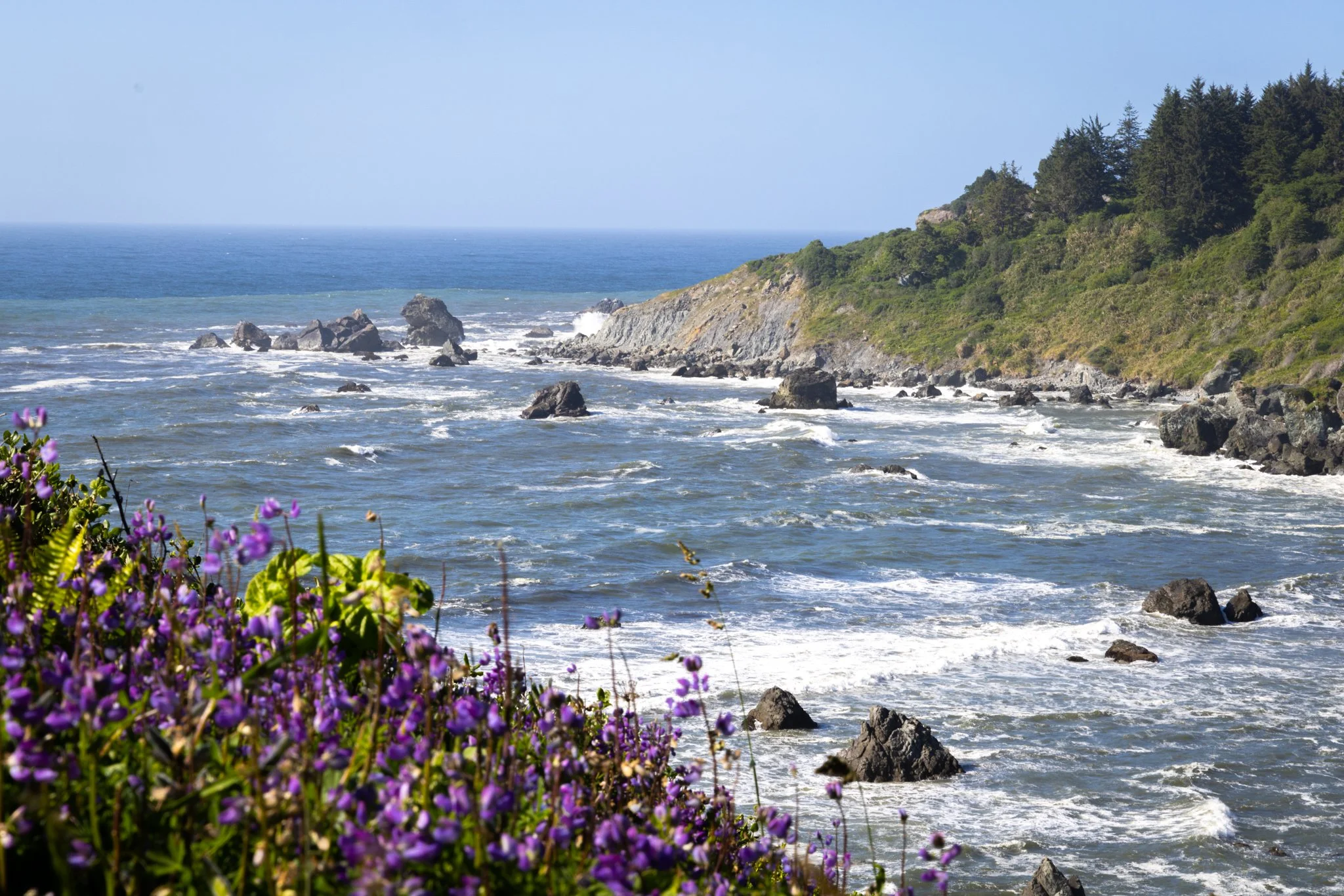 Sue-MegStateParkCoast.jpg