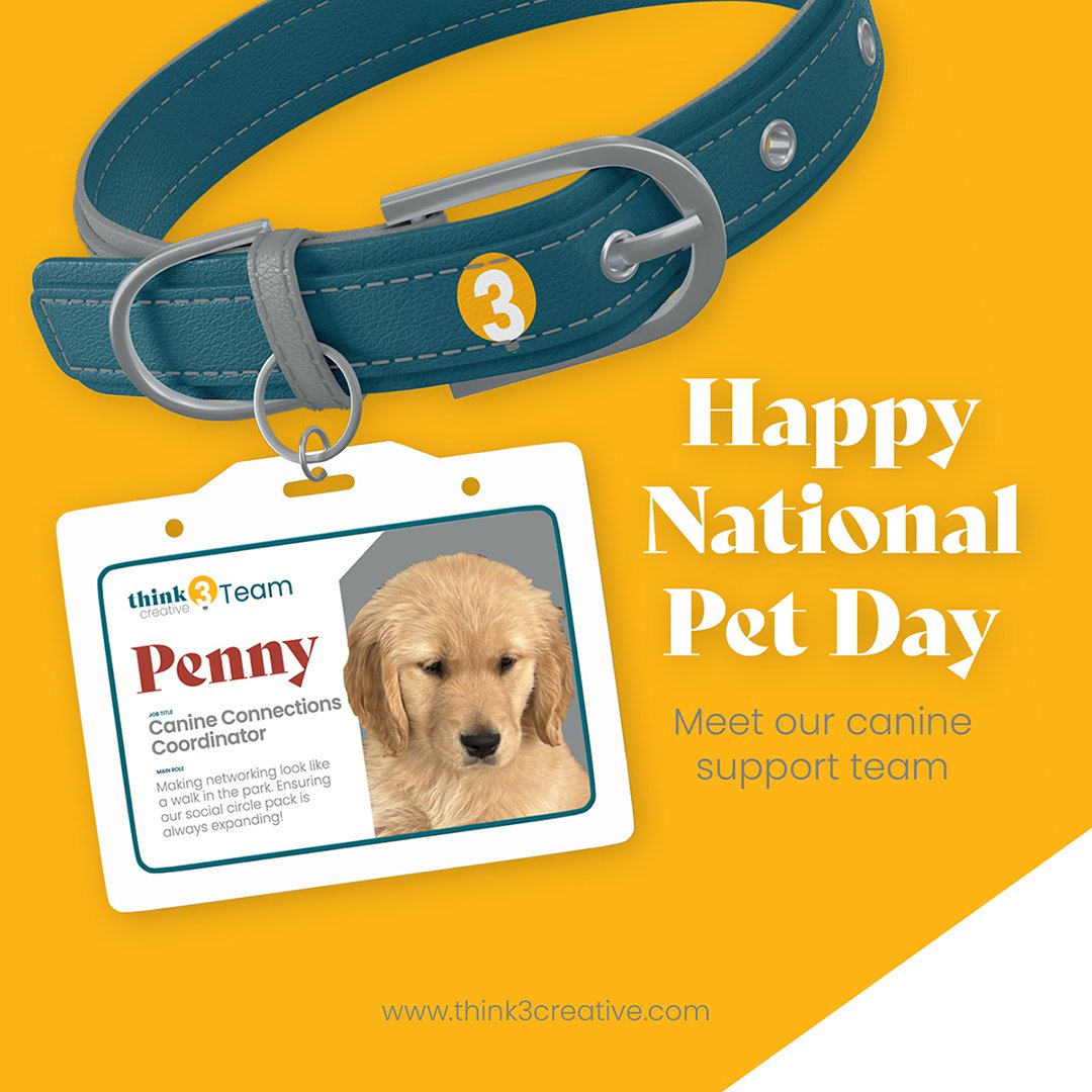 On National Pet Day, we'd like to extend a special 'paw-some' thank you to our four-legged colleagues who keep the office vibe tail-waggingly fantastic! 

Meet Penny, our Canine Connections Coordinator extraordinaire! Networking is a walk in the park