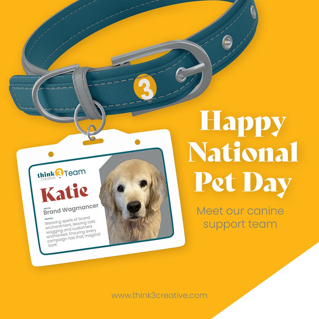 On National Pet Day, we'd like to extend a special 'paw-some' thank you to our four-legged colleagues who keep the office vibe tail-waggingly fantastic! 

Meet Katie, our seasoned Brand Wagmancer! She ensures every campaign has that magical 'bark', b